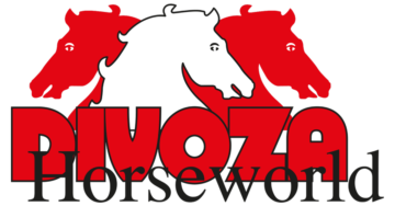 Divoza_logo